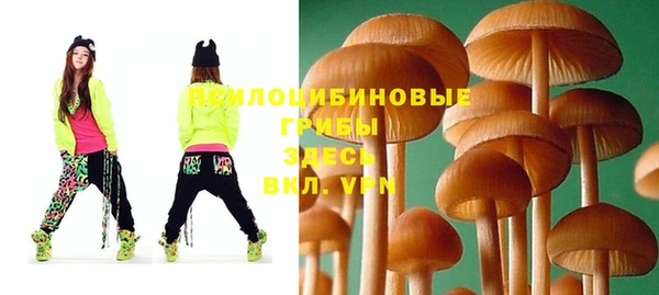 твердый Медногорск