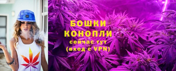 твердый Медногорск