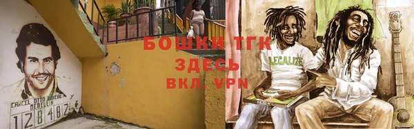 ECSTASY Мегион