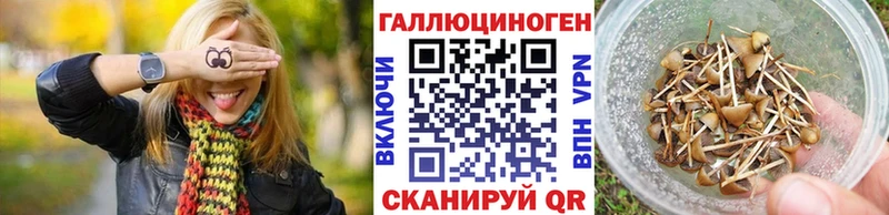 ссылка на мегу вход  где купить наркотик  Яблоновский  Галлюциногенные грибы Cubensis 