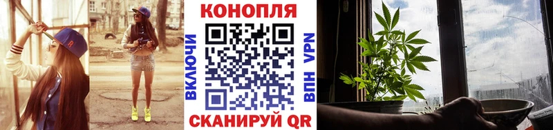 kraken   Яблоновский  Канабис OG Kush 